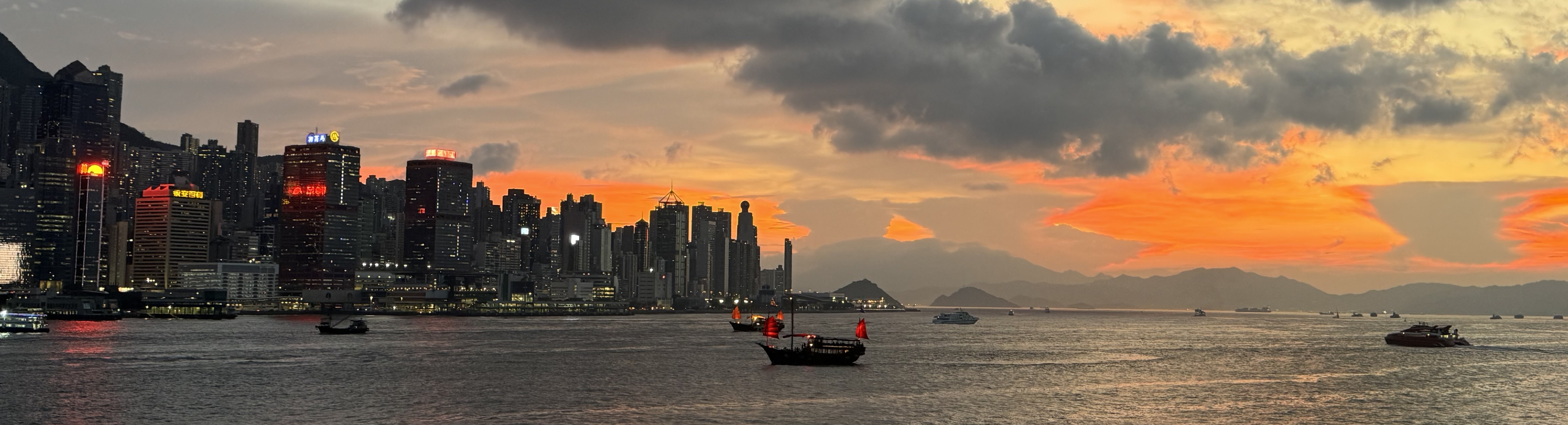 拍摄于香港 2024-8-30